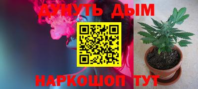 крисы Волжск