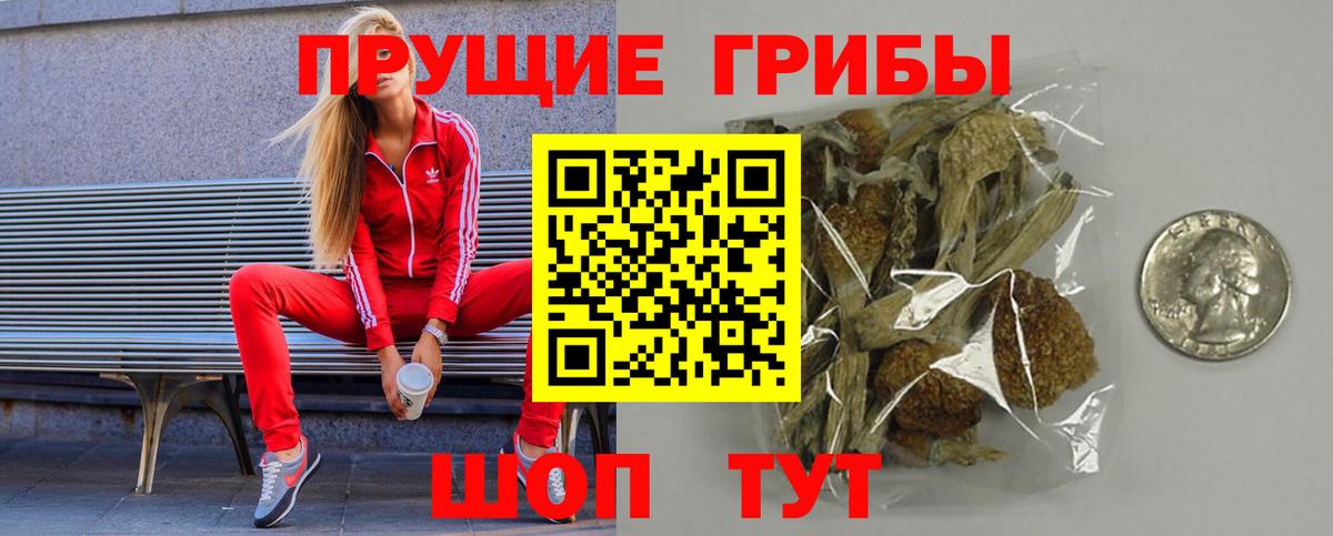 Псилоцибиновые грибы ЛСД Псков