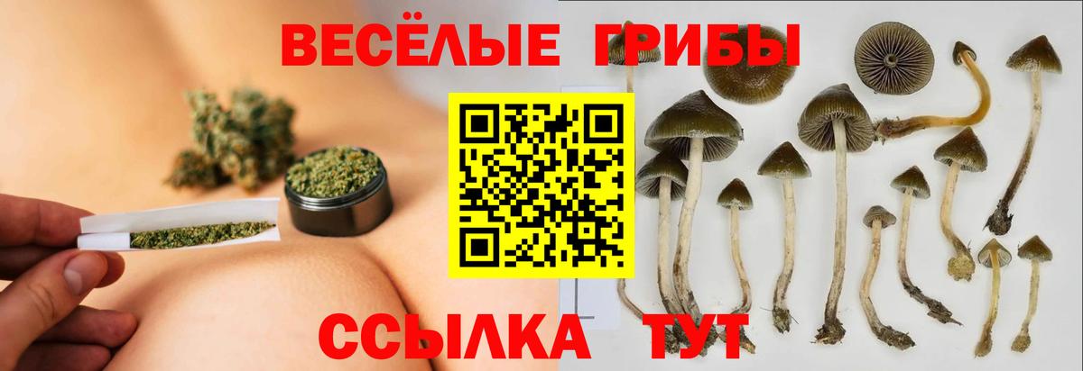 сколько стоит  Вход с VPN  Псков  Галлюциногенные грибы Psilocybe 